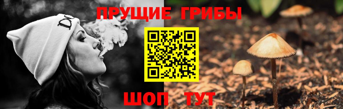 Галлюциногенные грибы Psilocybine cubensis Нефтекамск